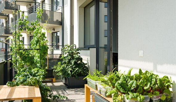 Sunny Retreat Balcony Design