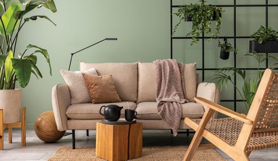 Greeny home decor indoor plant