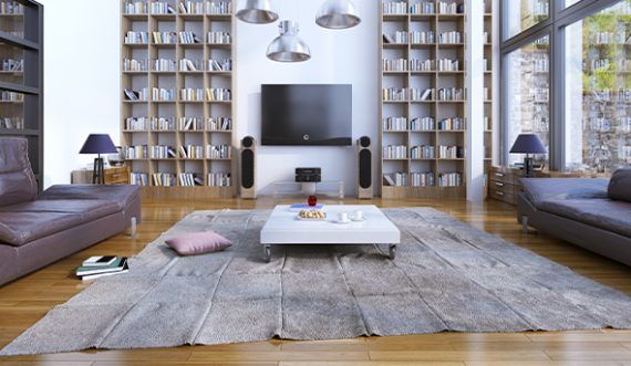 High Ceiling Bookshelves