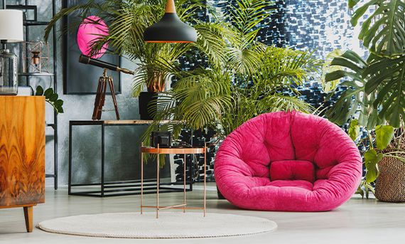 indoor plant for living room