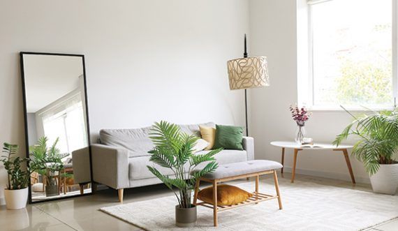 Mirror Decor 