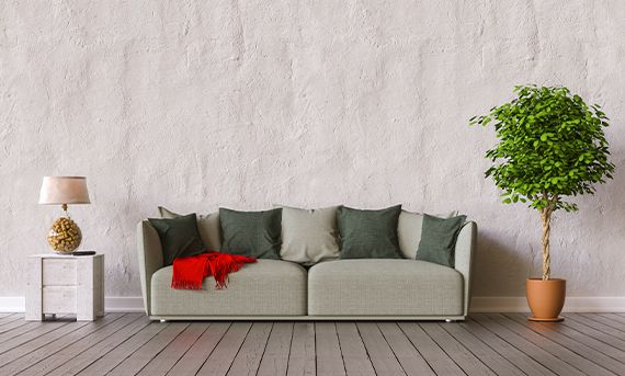 Money Tree for living room