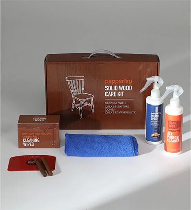 Furniture Cleaning and Care Kit