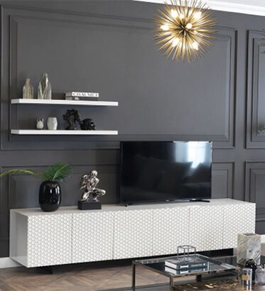 Elegant Look TV Unit  