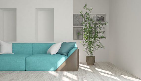 Tranquil Blue Hues